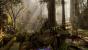 Warhammer Vermintide 2 (41)