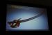 <strong>Sea of Thieves: So entstand die Cartoon-Grafik des Piratenabenteuers</strong> (29)