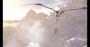 Monster Hunter World im Techniktest (Bilder: 4K-DCI maxed &amp; downsampled) (5)