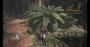 Monster Hunter World im Techniktest (Bilder: 4K-DCI maxed &amp; downsampled) (14)