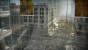 World War Z: Ein Survival-Koop-Zombie-Horden-Shooter im Episodenstil (3)