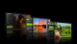 Nvidia Geforce RTX Turing presentation pictures 35
