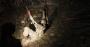 Shadow of the Tomb Raider im Techniktest (Bilder: 4.096 × 2.160 Pixel, max. Details, downsampled) (5)