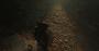 Shadow of the Tomb Raider im Techniktest (Bilder: 4.096 × 2.160 Pixel, max. Details, downsampled) (23)