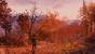 Fallout 76 (31)