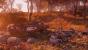 Fallout 76 (26)