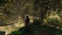 Shadow of the Tomb Raider (2018) ist der aktuellste Titel im Test, daher haben wir hier die meisten Probleme erwartet. Aber Überraschung: Abgesehen von einem Grafikfehler, wenn Tesselation aktiviert ist, und einem Schatten-Shader-Bug läuft es erstaunlich rund. Auch hier braucht das Spiel einige Minuten zum "Einruckeln".