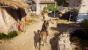Assassin's Creed: Odyssey - Screenshot von FortuneHunter