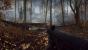 Battlefield 5 - Erste Benchmarks und Peformance-Eindrücke des neuen Frostbite-Shooter (4)