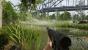 Battlefield 5 mit RTX-Raytracing - Performance im Multiplayer (8)