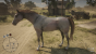 Neue Treiber für AMDs Radeon: Optimierung für Red Dead Redemption 2 (1)
