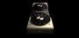 Die Titan RTX ist Nvidias schnellste Turing-Grafikkarte. Ein neues High-End-Modell ist bis 2020 nicht zu erwarten.