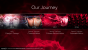 Radeon Software Adrenalin Edition 2019 Press entation 3