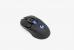 Mäuse: Logitech