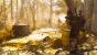 The Division 2: Neue Screenshots (6)