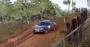 Dirt Rally 2.0 im Techniktest (Bilder: 4.096 × 2.160 mit maximalen Details, resampled @ 1440p) (11)