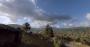 Dirt Rally 2.0 im Techniktest (Bilder: 4.096 × 2.160 mit maximalen Details, resampled @ 1440p) (18)