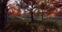 Dirt Rally 2.0 im Techniktest (Bilder: 4.096 × 2.160 mit maximalen Details, resampled @ 1440p) (22)