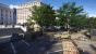 The Division 2 (2)