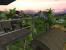 <strong>2004: Far Cry:&nbsp;</strong>Das in Frankfurt am Main ansässige Entwicklerstudio Crytek dürfte jedem deutschen Gamer ein Begriff sein, nicht nur wegen Far Cry, sondern auch wegen Crysis. Die Yerli-Brüder schafften es 2004 durch die Verwendung damals aktueller Technik, wie etwa DirectX 9.0c oder dem Shadermodel 3.0, eine bis dato noch nie dagewesene grafische Brillanz hinzubekommen. Die Geschichte weist Parallelen zu H.G. Wells Roman „Die Insel des Dr. Moreau“ auf, wenn man im späteren Verlauf an die Forschungslabore der „Krieger Corporation“ denkt. Das Spiel erhielt weltweit positive Bewertungen und begeisterte vor allem dank der Darbietung die Massen. Auch heute werden Far-Cry-Titel produziert, aber von Ubisoft.