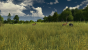 <strong>Anno 1800: </strong>So sieht der First-Person-Modus aus (25)