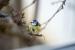 Update April 2019: Foto von Alex1022000