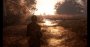 A Plague Tale: Innocence – Bildhübsches "Märchen Noir" im Techniktest (Bilder: 4.096 × 2.160 Pixel, maximale Details, downsampled) (87)