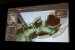 Assassin's Creed Odyssey auf der GDC 2019: Auferstanden aus Ruinen (51)
