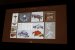 Assassin's Creed Odyssey auf der GDC 2019: Auferstanden aus Ruinen (55)