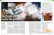 PCGH Ausgabe #225 07/2019:&nbsp; Info: Geschichte des CPU-Overclockings