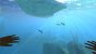 Subnautica Below Zero (Early Access) (19)