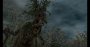 The Witcher 3 "maxed out" (HD Reworked Project 5.1, Detail-Tuning, DCI-4K downsampled) (19)