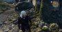 The Witcher 3 "maxed out" (HD Reworked Project 5.1, Detail-Tuning, DCI-4K downsampled) (24)