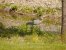 Update Juni 2019: Foto von nasterX244