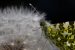 Update Juni 2019: Foto von BobBarker2014