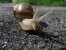 Update Juni 2019: Foto von mattinator