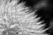 Update Juni 2019: Foto von mayo