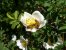 Update Juni 2019: Foto von mattinator