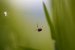 Update Juni 2019: Foto von enta