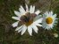 Update Juni 2019: Foto von mattinator