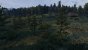 The Witcher 3 (diverse Mods, sehr hohe - maximale Settings, angepasste rendering.xml (@PCGH, also teilweise über maximale Settings hinaus)) - Screenshot von NotAnExit