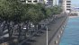 F1 2019 (35)
