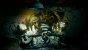 Moons of Madness: Horror-Abenteuer auf dem Mars (4)