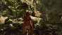 Radeon Image Sharpening OFF: Shadow of the Tomb Raider