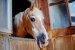 Update August 2019: Foto von JackA$$