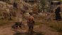 Greedfall - Details - Mittel