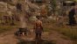 Greedfall - Details - Hoch