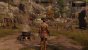 Greedfall - Details - Angepasste Details