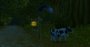 WoW Classic: Wald von Elwynn