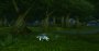World of Warcraft Classic: Techniktest, Grafik-Tuning und Benchmarks (11)